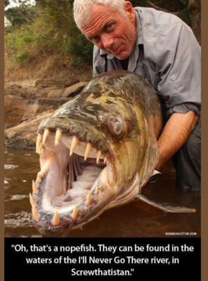 2024-01-12 18_45_48-Facebook.png