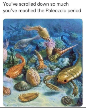 2024-01-12 19_17_54-Facebook.png