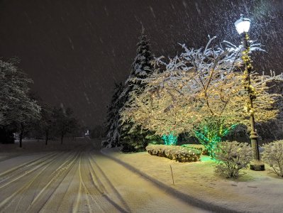 PXL_20240113_001207246.jpg