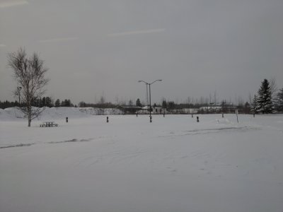 IMG_20240113_125238.jpg