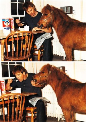 the rest of the story.jpg