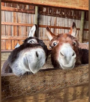 2024-01-16 14_23_53-Facebook.png