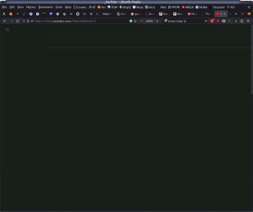 Screenshot_2024-01-18_09-30-54.png
