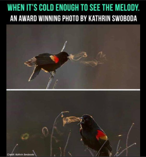 2024-01-20 22_11_25-Facebook.png