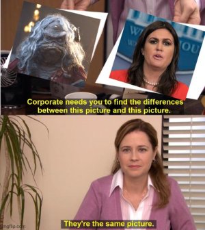 s0azrwkvytdc1.jpeg