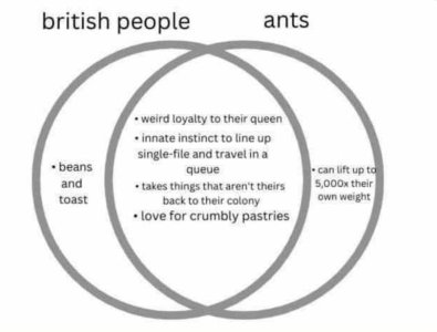 ants.jpg