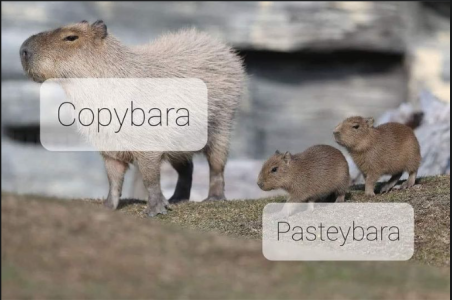 2024-01-26 17_40_09-Facebook.png