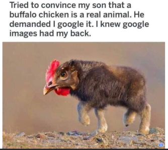 2024-01-28 19_09_09-Facebook.png