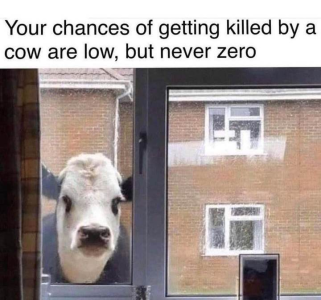 1706659433522.png 1706659433522.png