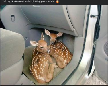 2024-02-04 19_54_53-Facebook.png