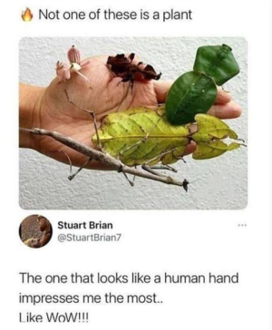 2024-02-05 08_02_58-Facebook.png