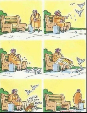 2024-02-05 18_04_18-Facebook.png