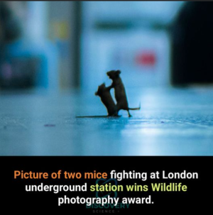 2024-02-06 00_40_59-Facebook.png