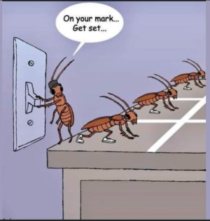 2024-02-06 10_31_02-(2) Facebook.png