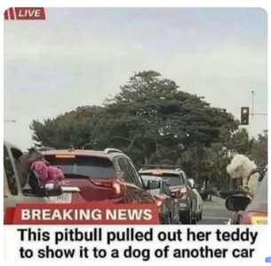 2024-02-06 11_57_18-Facebook.png