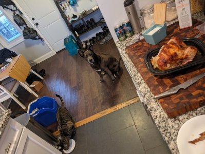 PXL_20240105_213904969 (Medium).jpg