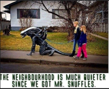 2024-02-08 16_11_44-Facebook.png