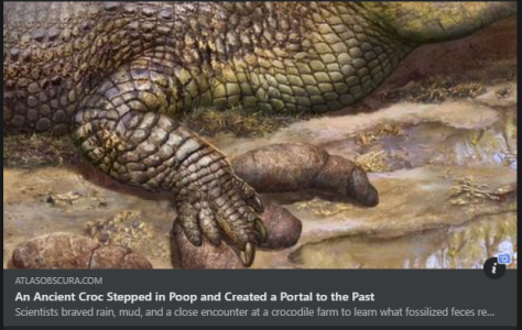 2024-02-09 10_10_54-Facebook.png