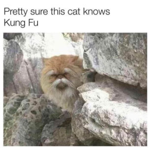 2024-02-09 16_52_06-Facebook.png