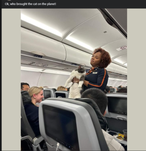 2024-02-09 22_57_17-Facebook.png