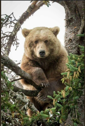 2024-02-09 23_07_03-Facebook.png