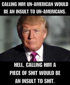 insulting.jpg