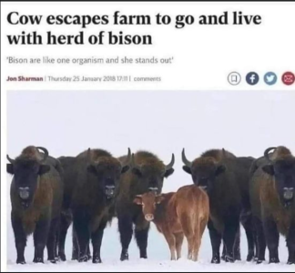 2024-02-10 19_31_22-Facebook.png