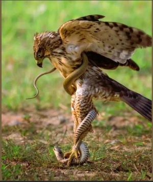 2024-02-11 13_11_34-(2) Facebook.png