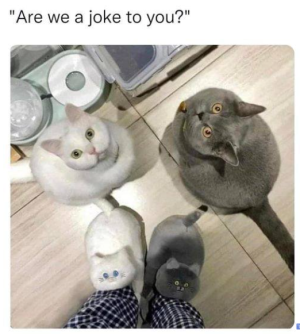 2024-02-11 13_38_50-Facebook.png