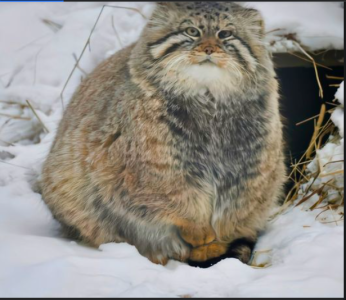 2024-02-11 20_08_12-Facebook.png