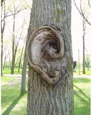 2024-02-12 18_21_08-Facebook.png