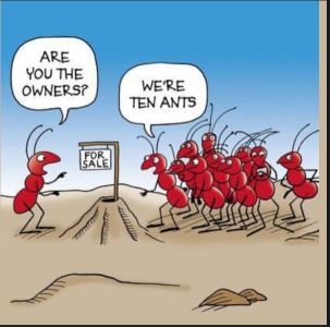 2024-02-12 20_31_34-Facebook.png