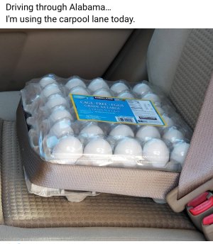 IMG_0861.jpeg