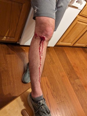 PXL_20231207_001232745 - Copy.jpg