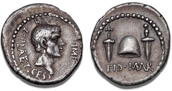 3107845.jpg