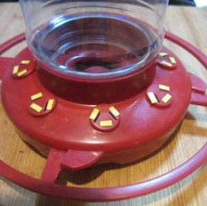 Livingnature (CLOSEUP) Hummingbird feeder enhanced.jpg