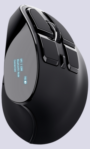 1710905491000.png 1710905491000.png