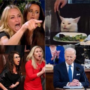 CatBiden.jpg