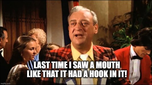 mouth_with_a_hook.jpg