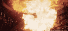 phoenix-fantastic-beasts.gif