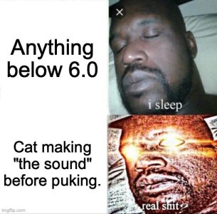 8lp2xc.jpg