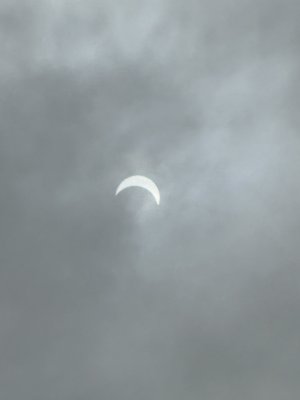 IMG_6907.jpeg IMG_6907.jpeg