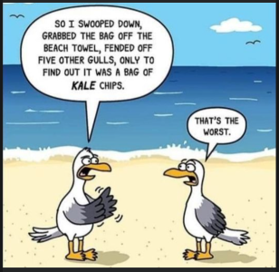 2024-04-14 09_15_45-Facebook.png