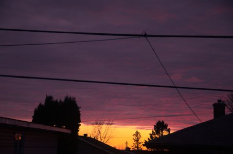DSC_6483.jpg