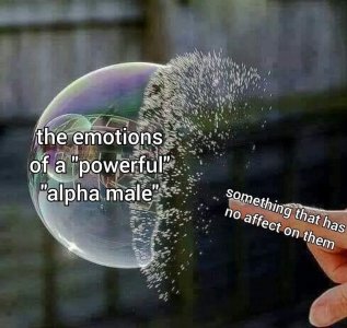 lEp2nW6.jpeg