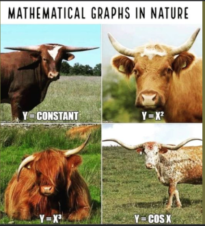 2024-04-17 11_57_27-Facebook.png