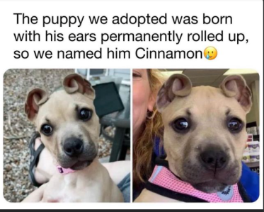 2024-04-17 16_30_18-Facebook.png