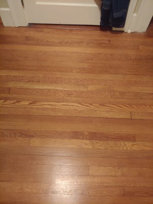 0430242048.jpg