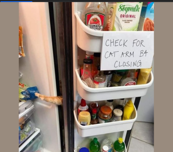 2024-05-03 12_22_45-Facebook.png