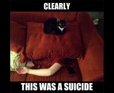 Clearly-this-was-a-suicide.jpg